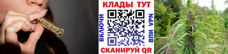 Где продают наркотики Ивдель Cocaine  Амфетамин  Гашиш  Мефедрон  Alpha-PVP 