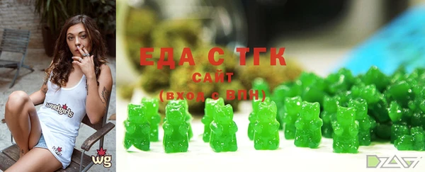 шишки Надым
