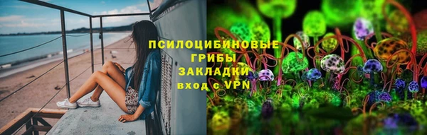 спайс Михайлов