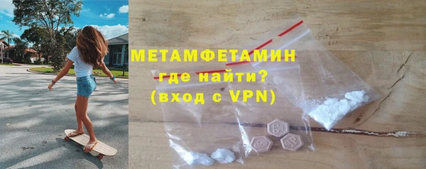 шишки Надым